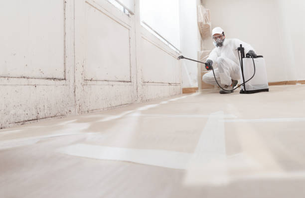24/7 Emergency Basement Mold Remediation experts in Jackson, GA