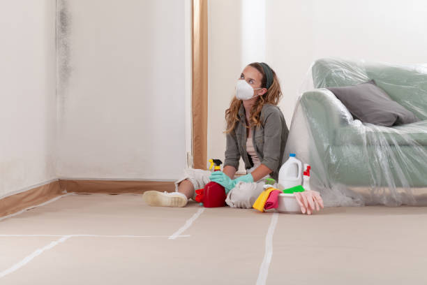 Reliable Basement Mold Remediation contractor in Jackson, GA by WQB Mold Removal